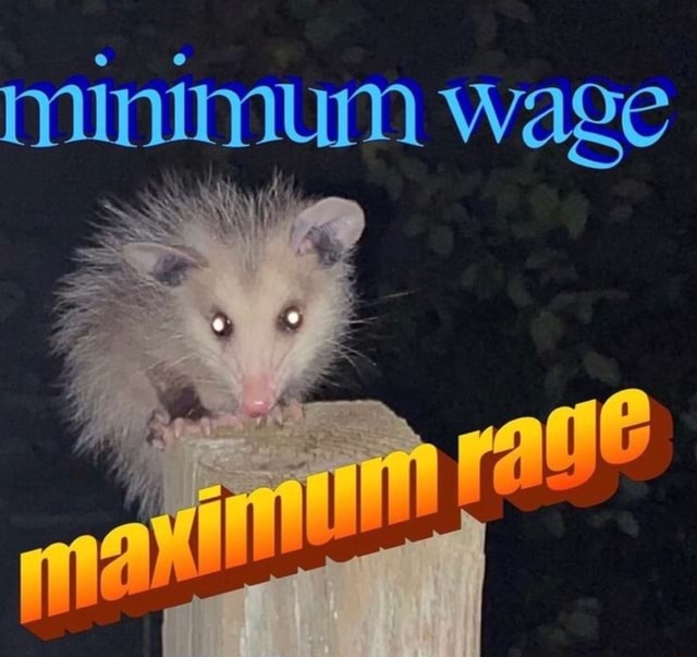minimum-wage-ifunny-brazil