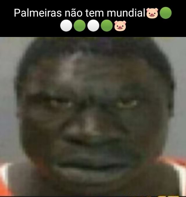 PALMEIRAS NÃO TEM MUNDIAL os - iFunny Brazil