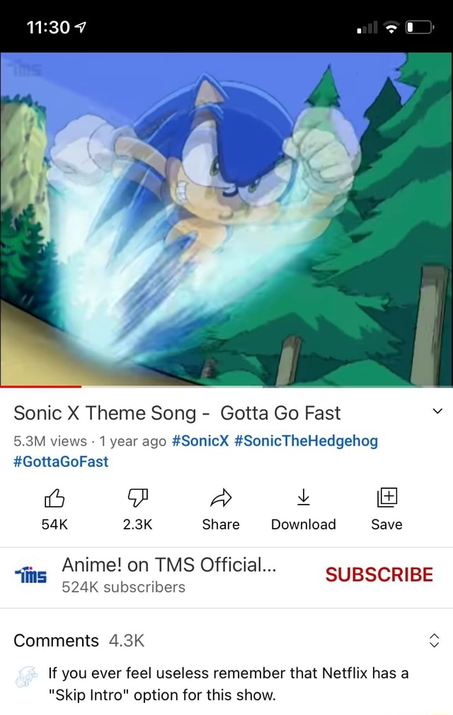 Sonic X Theme Song - Gotta Go Fast 