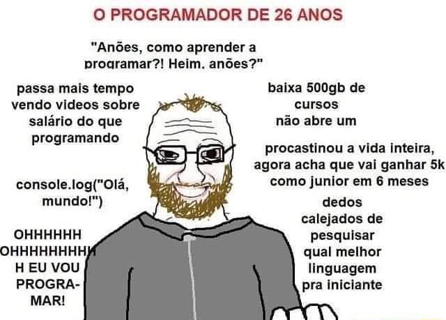 O Programador