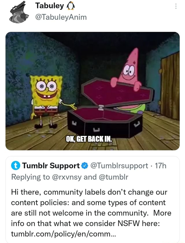 Tumblr Support (@Tumblrsupport) / X