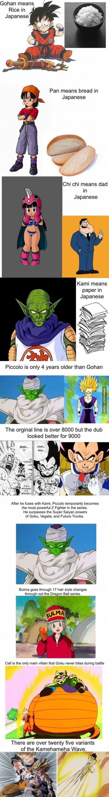 Gohan means Rice in Japanese Pan means bread in Japanese Chi chi means dad  in Japanese Kami means paper in Japanese Piccolo is only 4 years older than  Gohan The orginal line