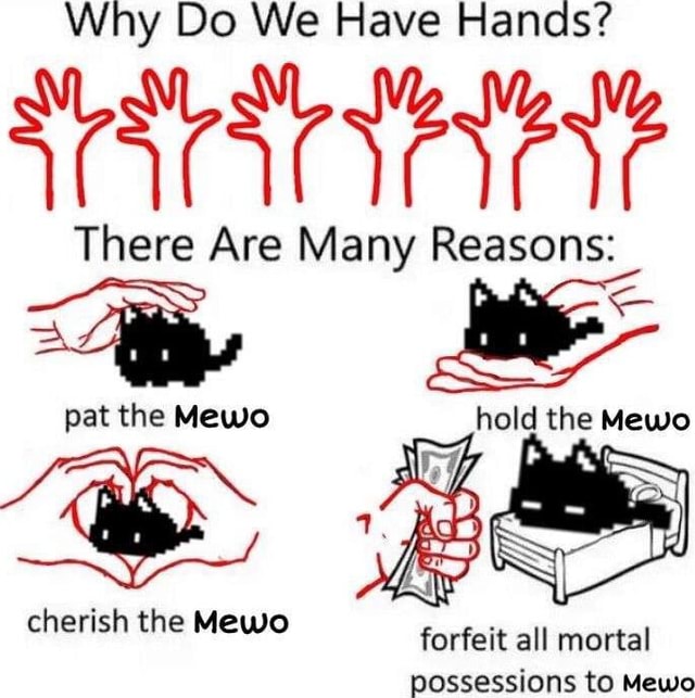 Why Do We Have Hands? There Are Many Reasons: ay hold pat the Mewo hold ...