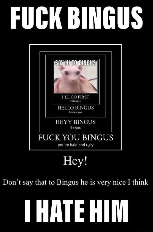 Reply to this thread and I'll tell you where you are on the Bingus