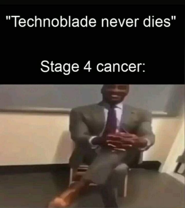 Technoblade never dies Stage 4 cancer: - iFunny Brazil