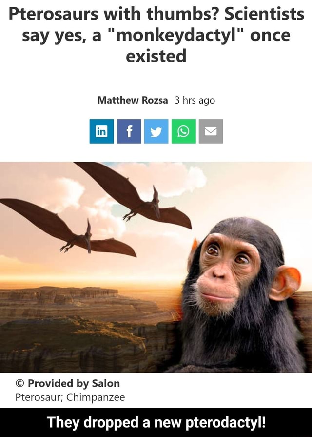 Cuddly pterodactyls - Science Musings