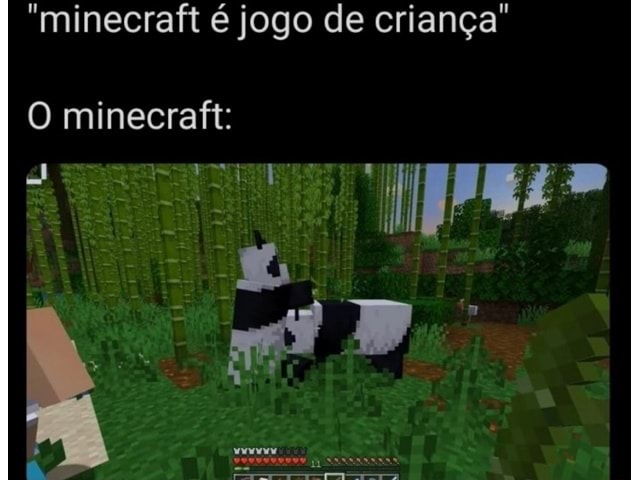 Vamos jogar Minecraft? Minecrafit jogo de criança - iFunny Brazil