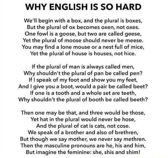 WHY ENGLISH IS SO HARD We'll begin with a box, and the plural is boxes