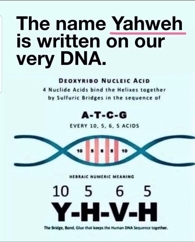 The name Yahweh is written on our very DNA. DEOXYRIBO NUCLEIC ACID 4 ...