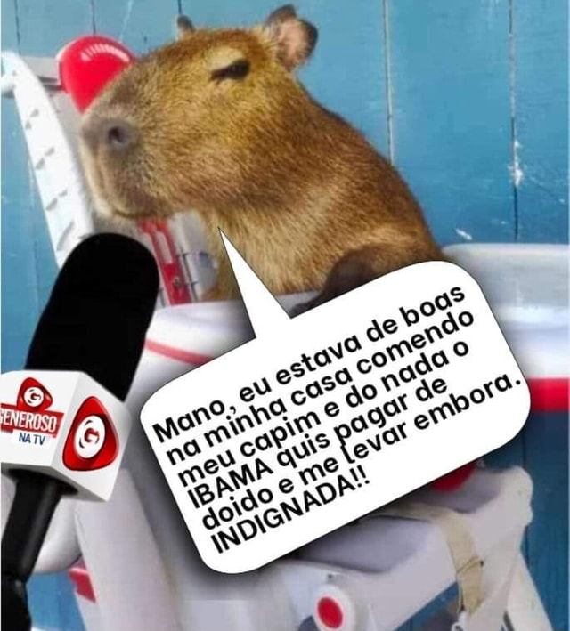 Capivara meme roblox em 2023  Fotos de capivara, Capivara, Capivaras