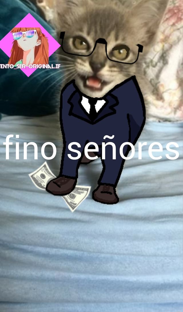 Gato fino señores - Roblox