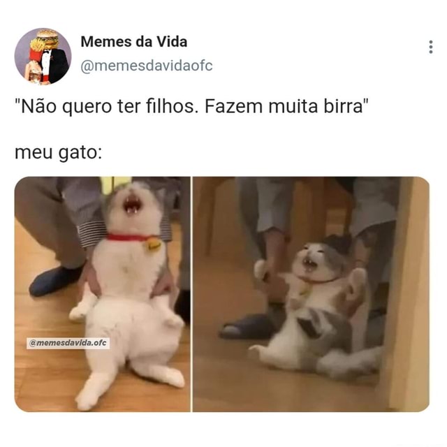 Memes da Vida (Qmemesdavidaofe Minha cabeça o dia todo: Que isso meu filho  calma Ele goooosta CAVALO (Qmemesdavida.ofe - iFunny Brazil