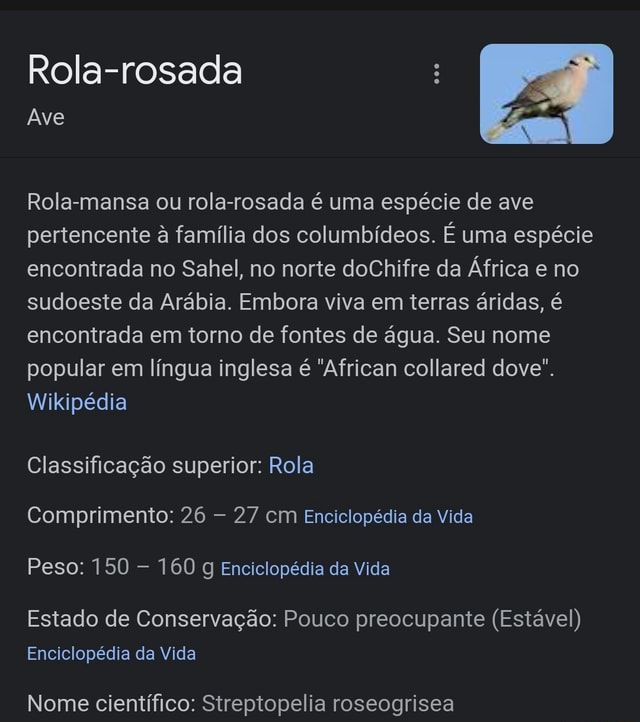 Rolão – Wikipédia, a enciclopédia livre