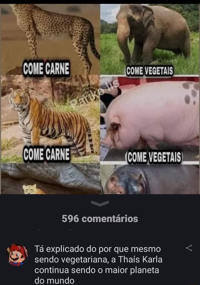 UNIVERSOALIENIGENABR.BLOGSPOT.COM CASAL DE VEGETARIANOS ADOTA UM BRÓCOLIS  PORQUE NÃO QUER UM FILHO DE CARNE E OSSO - iFunny Brazil