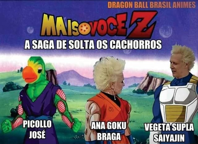 D.Ball Brasil Animes - Melhor Saga!