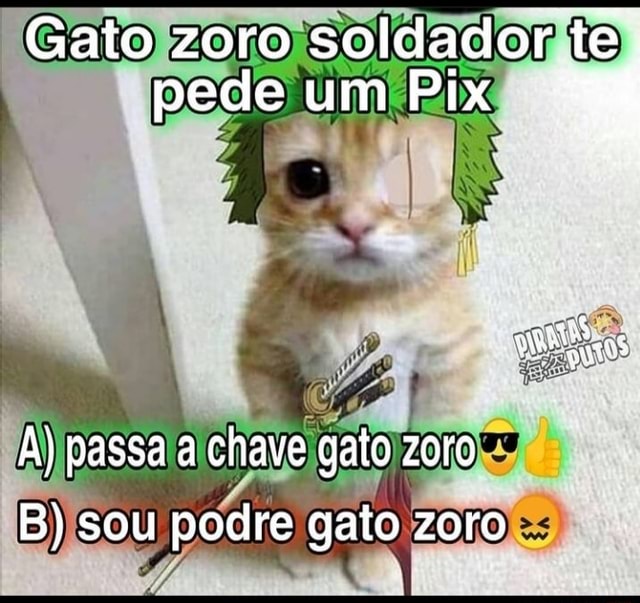 Apenas outro desenho meu, espero que gostem Zoro Sola - iFunny Brazil