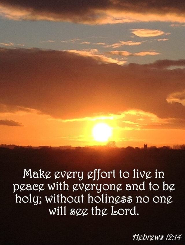 Make every effort to live in peace with everyone and to be holy ...