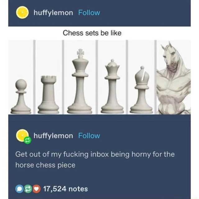 Huffylemon Follow Chess sets be like view huffylemon Follow Get