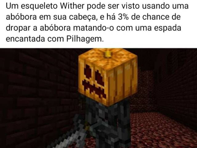 jogando minecraft acabei de achar uma abobora do nada momento istorico  kkkkkkkkkkkkkkkkkk