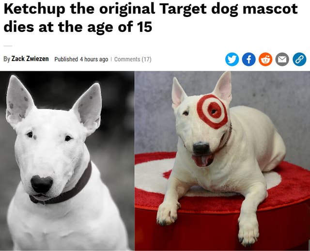 Target dog outlet mascot