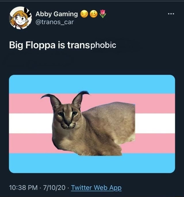 Big Floppa  Memes Hu3 BR Amino