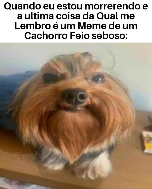 Quando eu estou morrendo na Fila do SUS e me lembro do meme do cachorro  Falando Intankavelo Bostil - iFunny Brazil