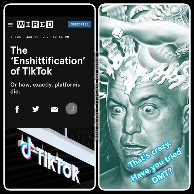 The 'Enshittification' of TikTok