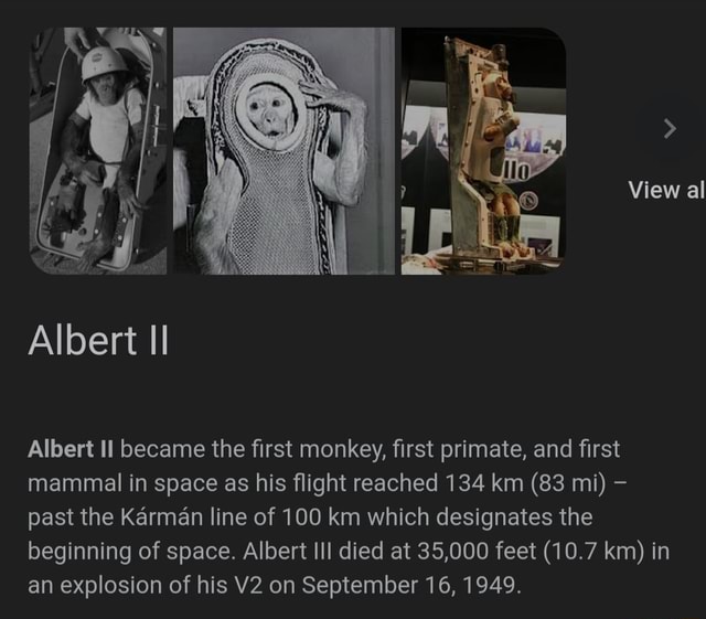 Albert Monkey