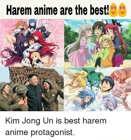 Best Harem Anime