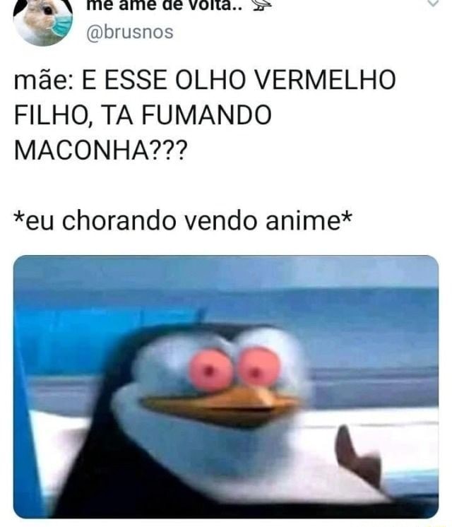 Legal mas veja esse panda vermelho agiota fumando um charuto