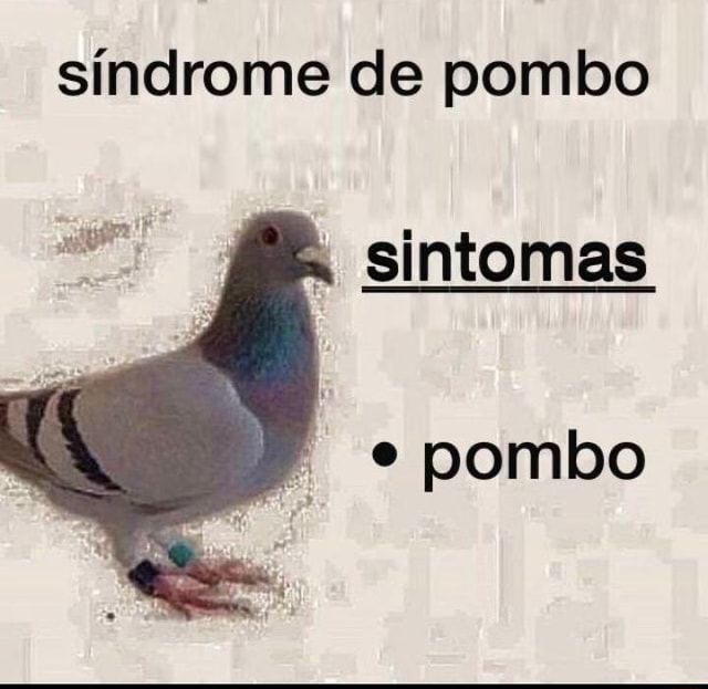 Blog do Mochi: Síndrome do pombo