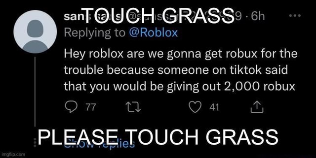 Touch Grass - Roblox