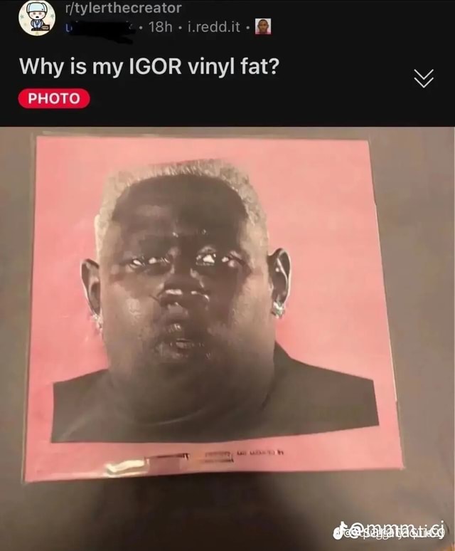 Igor store : r/tylerthecreator