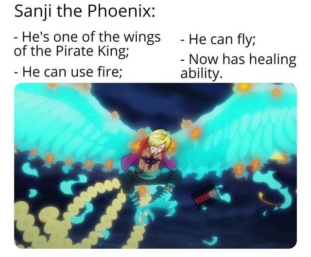 One Piece: Robin Affirms Her Faith In Sanji as the 'Wings of the Pirate  King