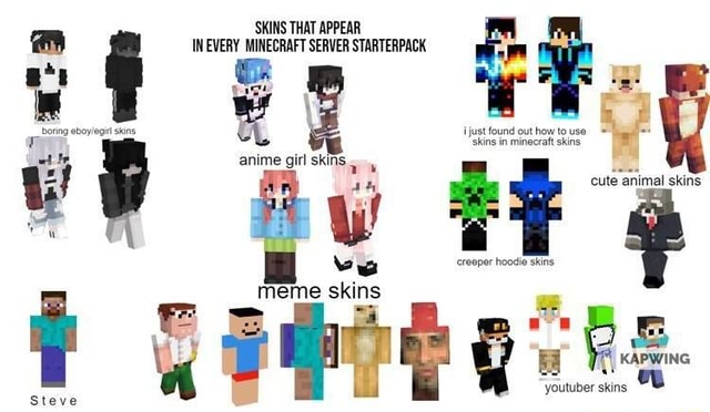 Steve Girl Minecraft Skins