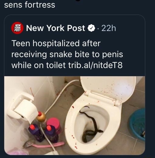 Teen hospitalized after snake bite to penis while on toilet