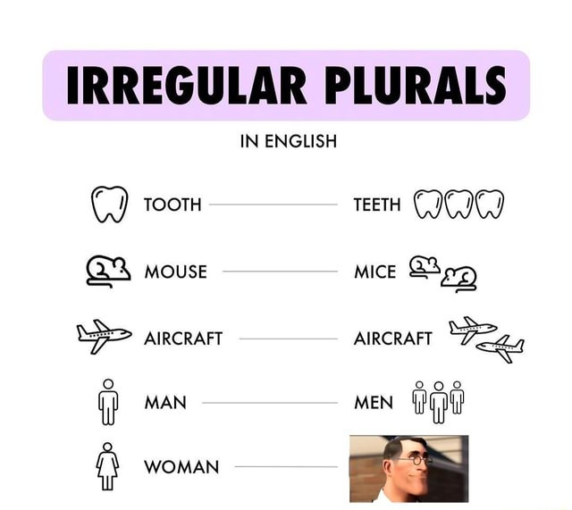 IRREGULAR PLURALS IN ENGLISH C) TOOTH TeeTH CIC IC) mouse mice AIRCRAFT