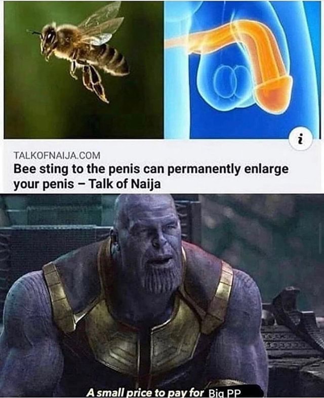 TALKOFNAIJA COM Bee sting to the penis can permanently enlarge