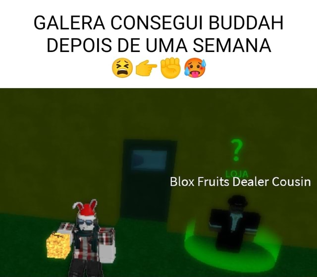 Blox Fruits Dealer Cousin was nice today