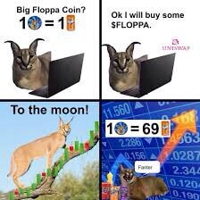 Big Floppa Coin wit buy some iFunny Brazil