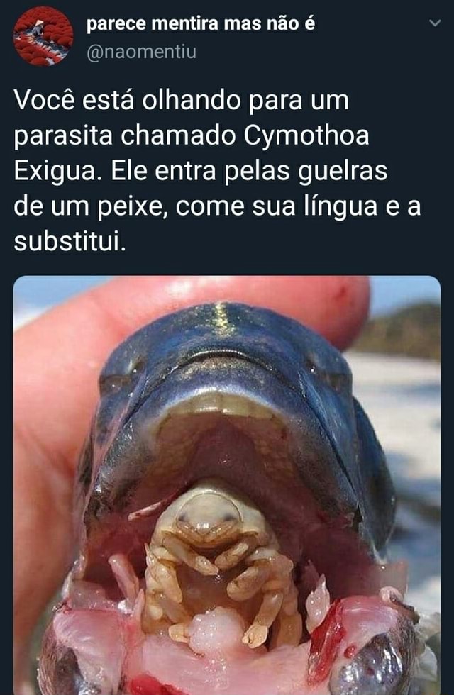 Será que você é um parasita? 🦠