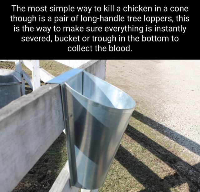 The most simple way to kill a chicken in a cone though is a pair of