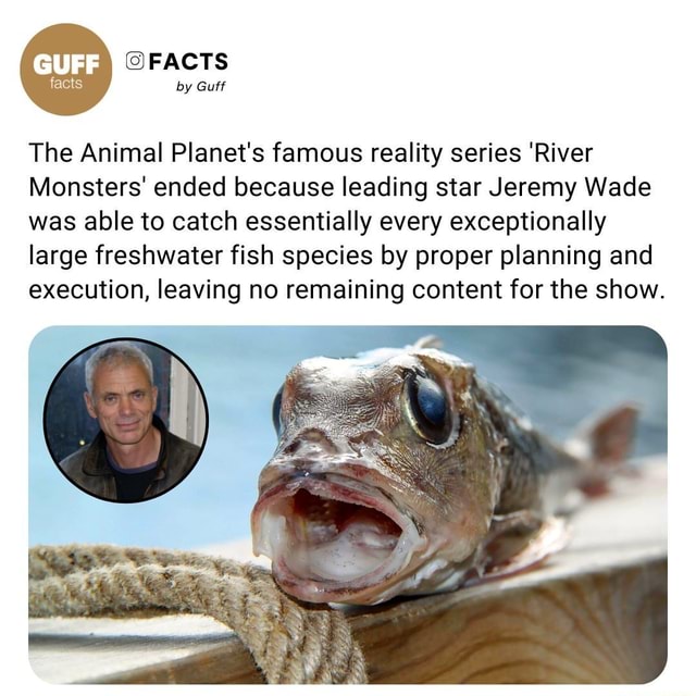 FACTS by Guff The Animal Planet's famous reality series 'River Monsters'  ended because leading star Jeremy Wade was able to catch essentially every  exceptionally large freshwater fish species by proper planning and