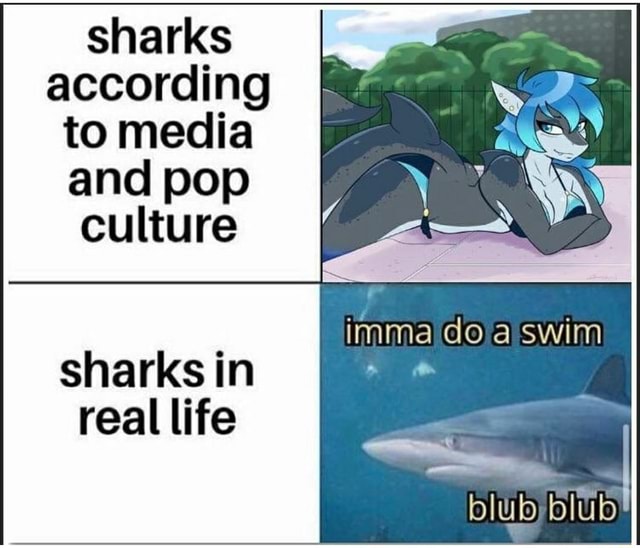 Sharks according to media and pop culture imma do aswim sharks in real ...