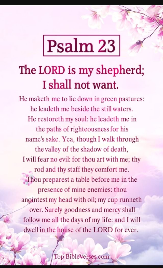 The LORD is my shepherd; I shall not want. He maketh me to lie down in ...