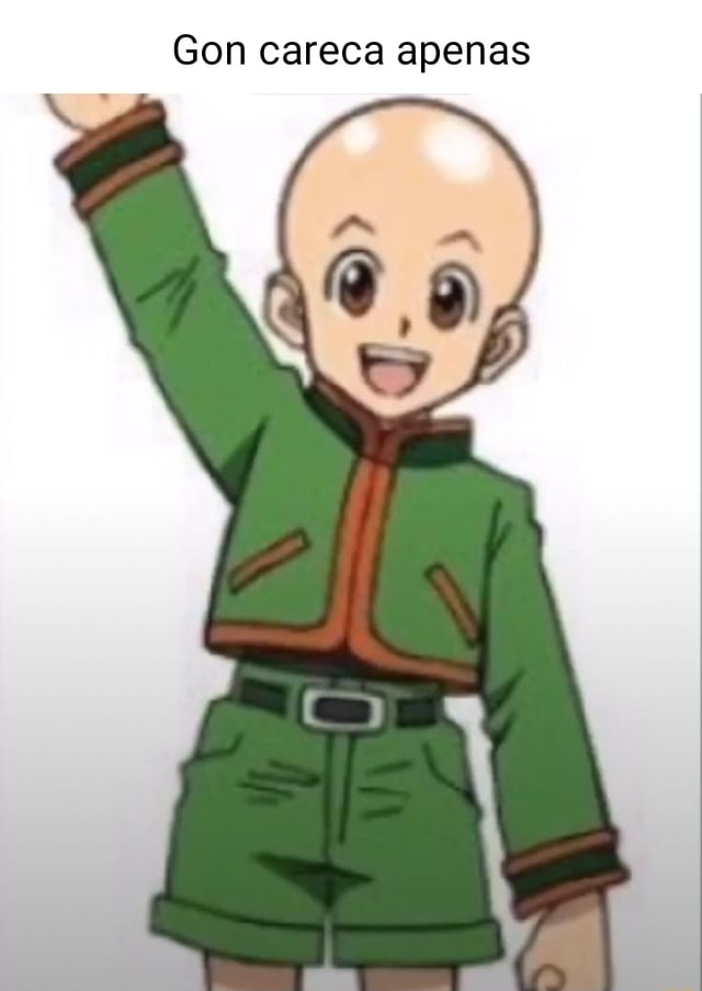 Todo Dia Um Personagem De Anime Careca on X: Gon careca