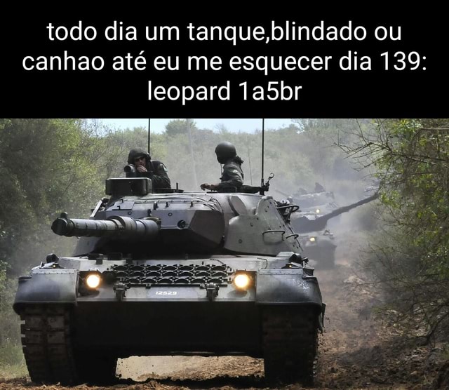 Todo dia um tanque,blindado ou canhao até eu me esquecer dia 161