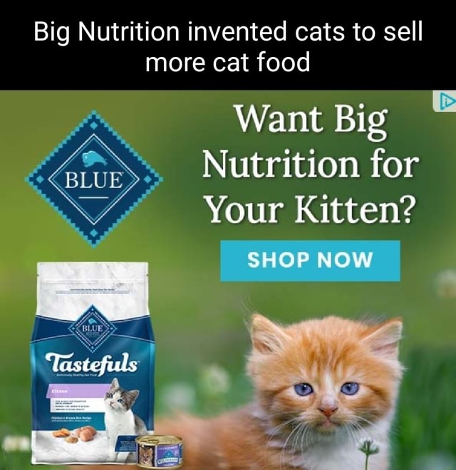 Big Nutrition invented cats to sell more cat food Want Big