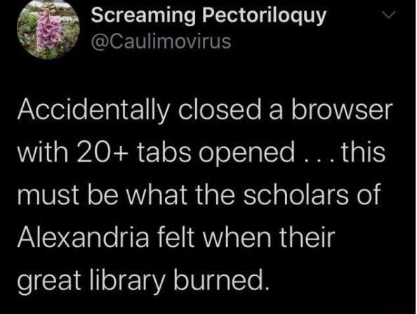 Screaming Pectoriloquy Caulimovirus Accidentally closed a browser