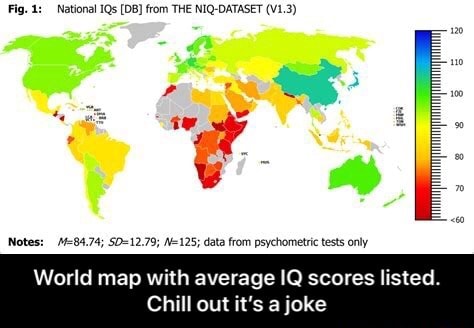 The IQ Brief - NIQ